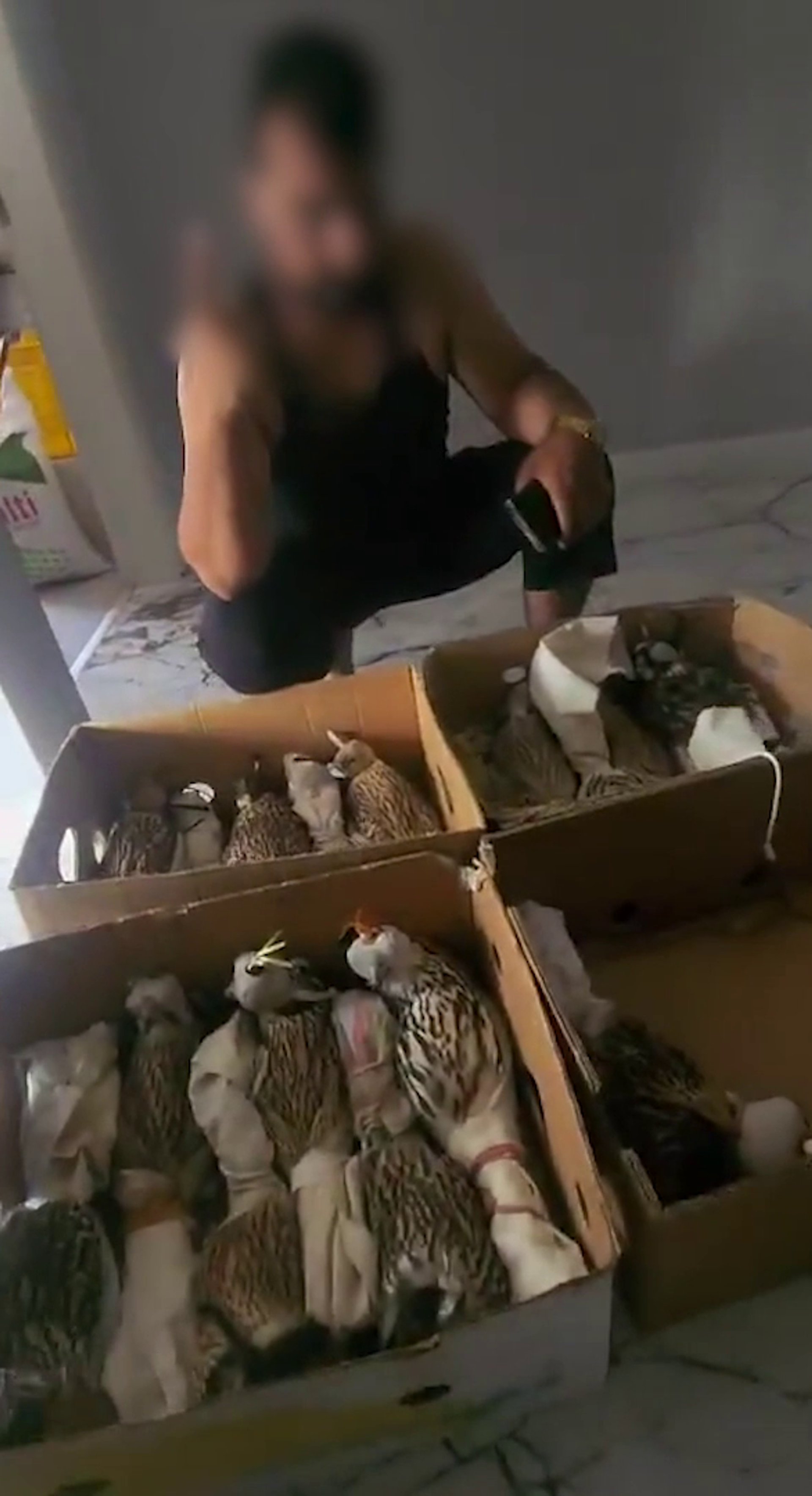 Avlanması yasak kuşları, yurt dışına sattığı iddia edilen zanlı Silivri'de yakalandı - Sputnik Türkiye, 1920, 11.08.2025