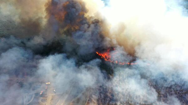 Bolu yangın - Sputnik Türkiye