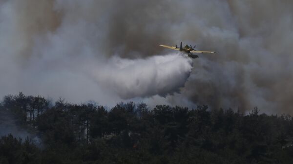 Çanakkale yangın - Sputnik Türkiye