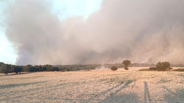 Edirne - Sputnik Türkiye