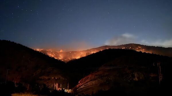 Yangın - Sputnik Türkiye