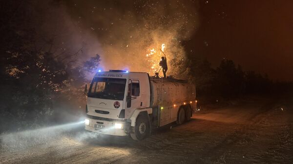 Edirne'nin Enez ilçesinde çıkan orman yangınına müdahale ediliyor - Sputnik Türkiye