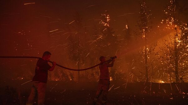 Çanakkale, Kepez orman yangını - Sputnik Türkiye