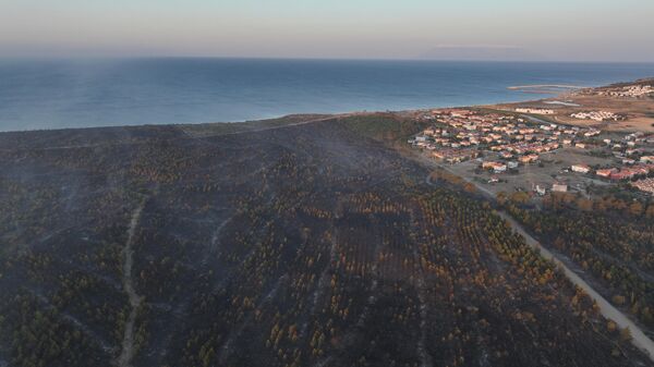Edirne'nin Enez ilçesi Büyükevren ve Gülçavuş köylerindeki orman yangını kontrol altına alındı - Sputnik Türkiye