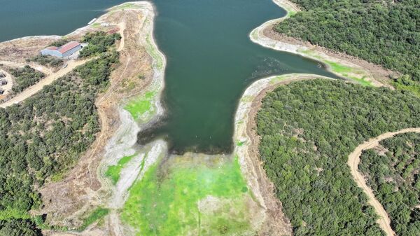 İstanbul barajları - Sputnik Türkiye