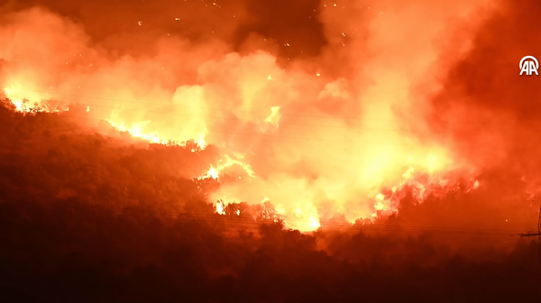 Karadağ'da yangın - Sputnik Türkiye