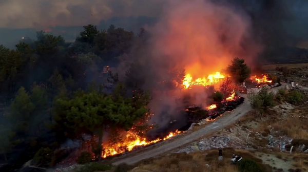 İzmir, Manisa, Uşak, Osmaniye, Gaziantep, Antalya, Çanakkale ve Edirne: Orman yangınlarında son durum - Sputnik Türkiye