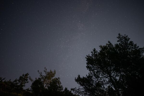 Sakarya&#x27;nın Hendek ilçesi Dikmen Yaylası&#x27;nda, Perseid meteor yağmuru gözlemlendi. - Sputnik Türkiye