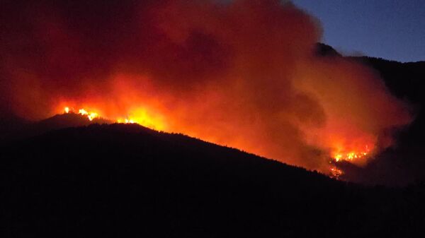 Hatay yangın - Sputnik Türkiye