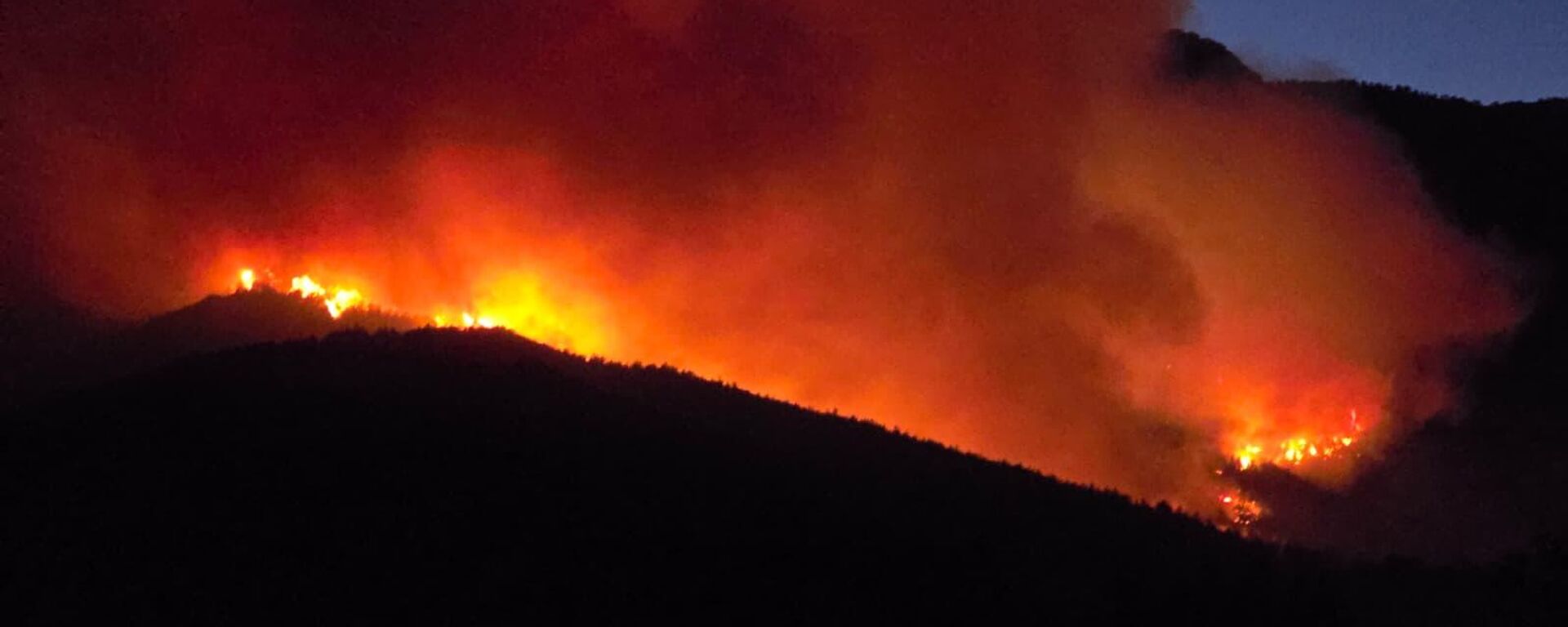 Hatay yangın - Sputnik Türkiye, 1920, 13.08.2025