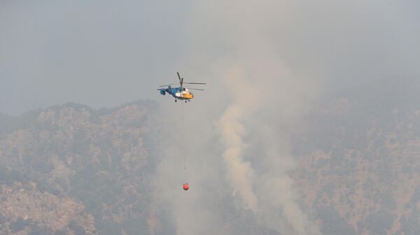 Hatay'da orman yangını - Sputnik Türkiye