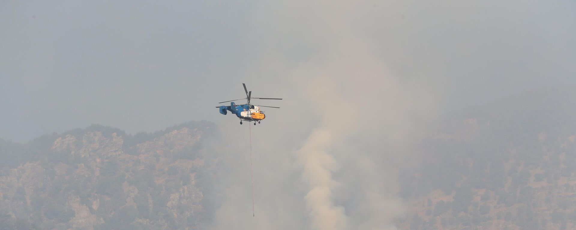 Hatay'da orman yangını - Sputnik Türkiye, 1920, 14.08.2025