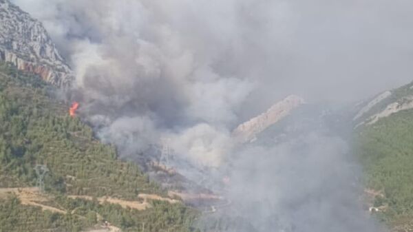 Mersin Anamur yangını - Sputnik Türkiye