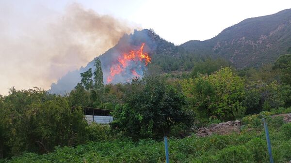 Hatay Kırıkhan - Sputnik Türkiye