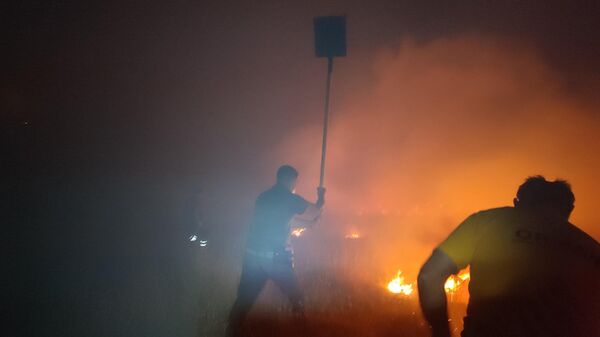 Yangın - Sputnik Türkiye