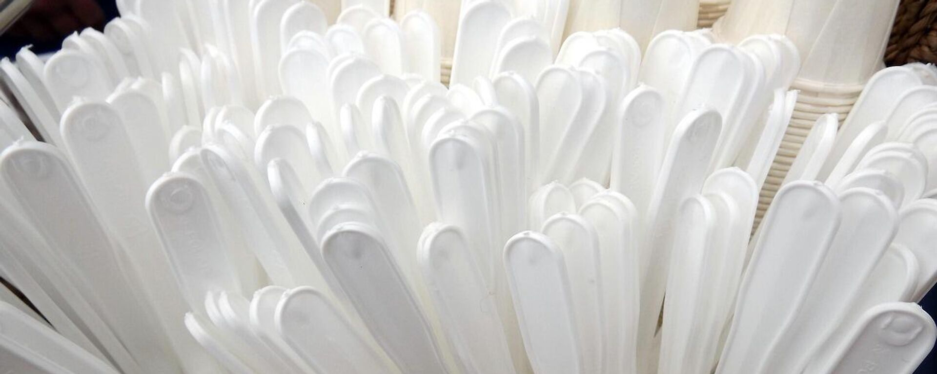 Tek kullanımlık plastik - Sputnik Türkiye, 1920, 15.08.2025