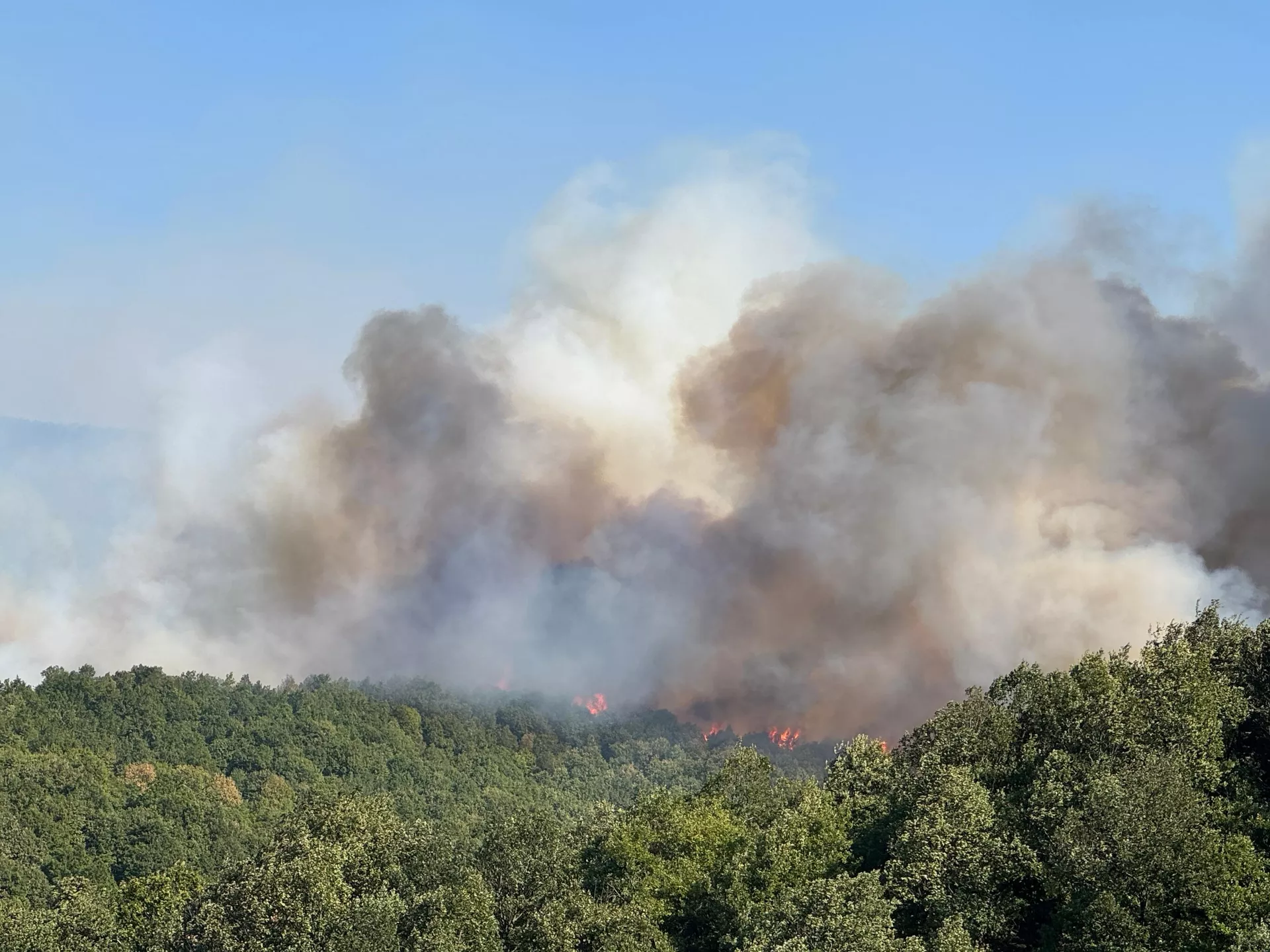 Kocaeli yangın - Sputnik Türkiye, 1920, 15.08.2025