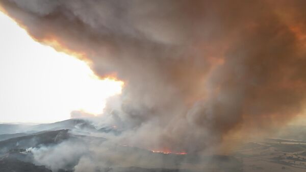 Çanakkale, Gelibolu orman yangınında son durum: Müdahale devam ediyor - Sputnik Türkiye