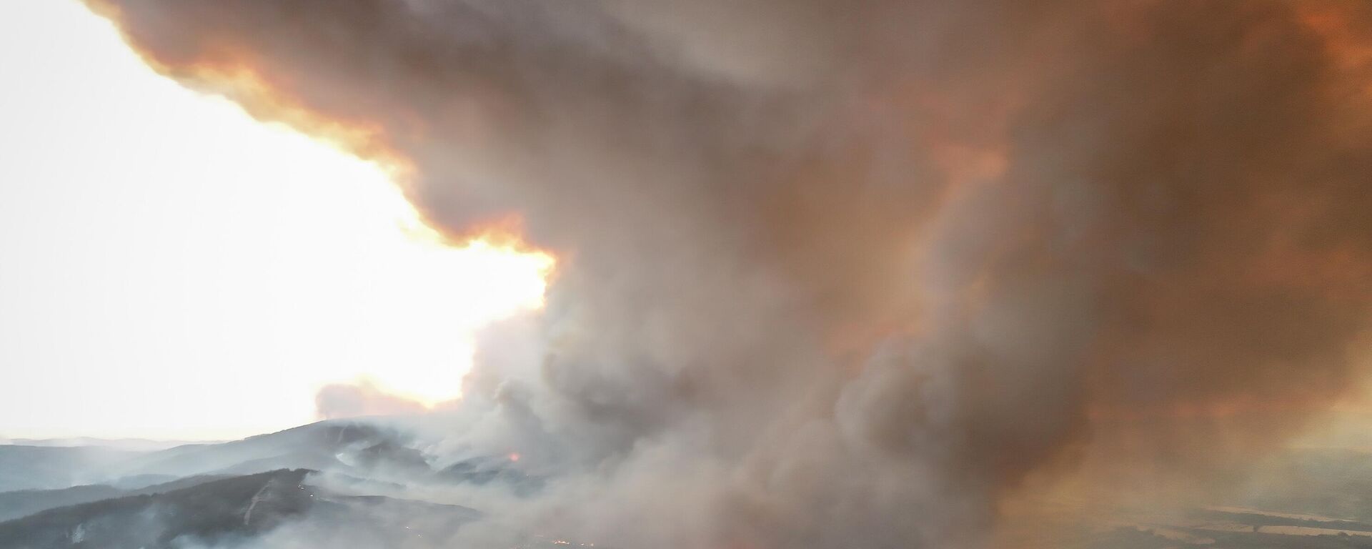 Çanakkale, Gelibolu orman yangınında son durum: Müdahale devam ediyor - Sputnik Türkiye, 1920, 17.08.2025