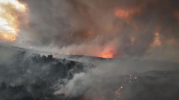Çanakkale, Gelibolu orman yangınında son durum: Müdahale devam ediyor - Sputnik Türkiye