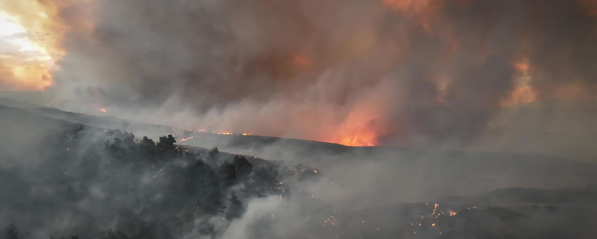 Çanakkale, Gelibolu orman yangınında son durum: Müdahale devam ediyor - Sputnik Türkiye, 1920, 18.08.2025