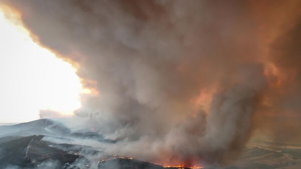 Çanakkale, Gelibolu orman yangınında son durum: Müdahale devam ediyor - Sputnik Türkiye