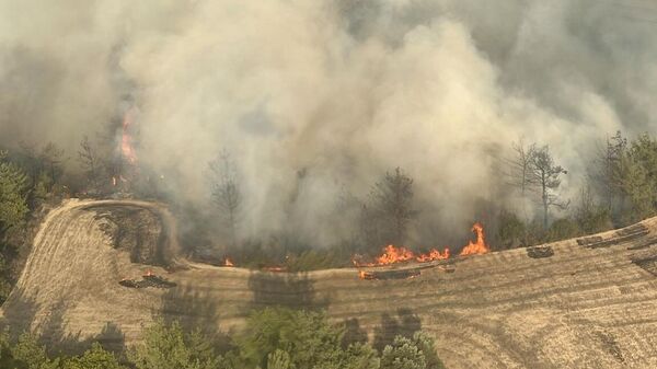 Adana İmamoğlu - Sputnik Türkiye