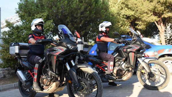 Aydın'ın Germencik ilçesinde jandarma ekiplerince incir ve zeytin bahçelerindeki hırsızlıkların önlemesi amacıyla uygulama yapıldı - Sputnik Türkiye