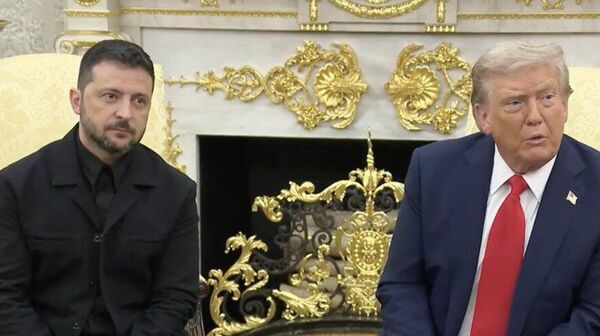 Trump Zelenskiy - Sputnik Türkiye