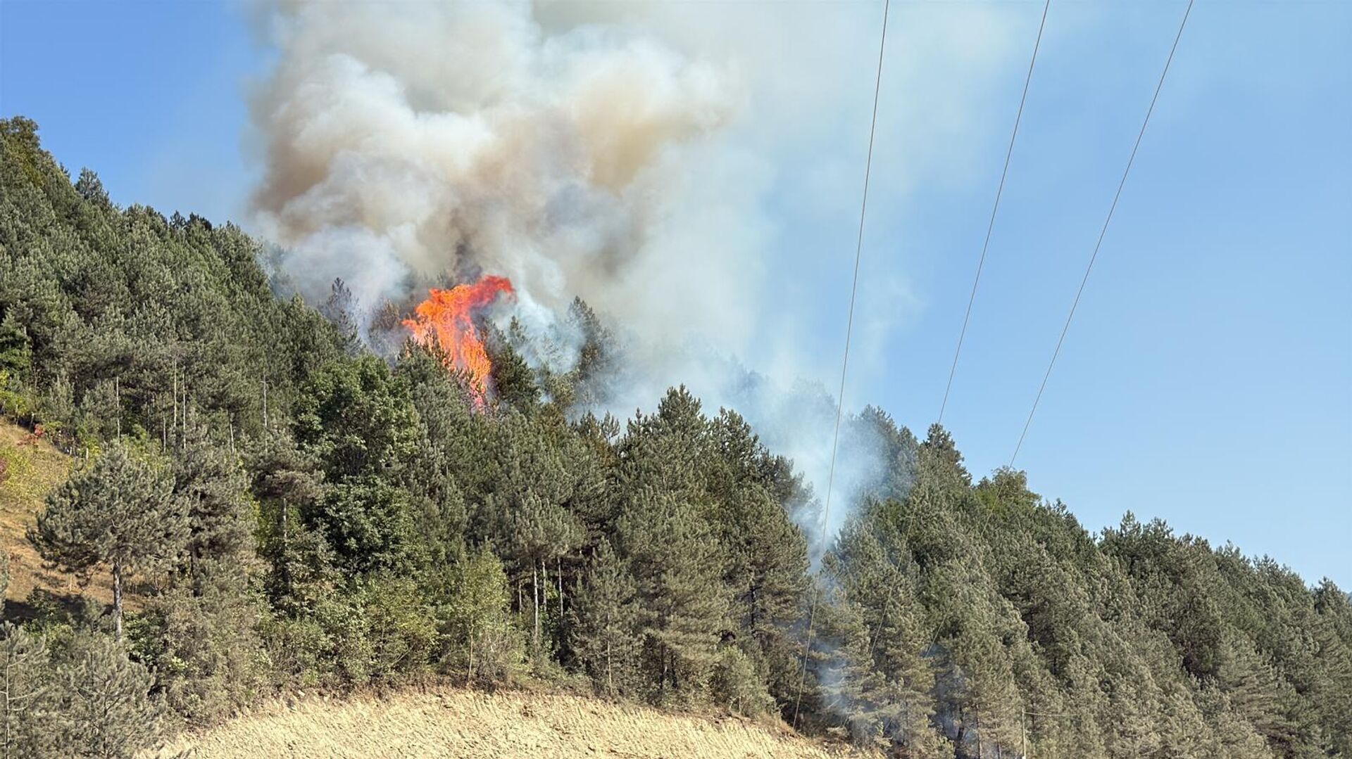  Sinop'un Türkeli ilçesinde orman yangını - Sputnik Türkiye, 1920, 19.08.2025