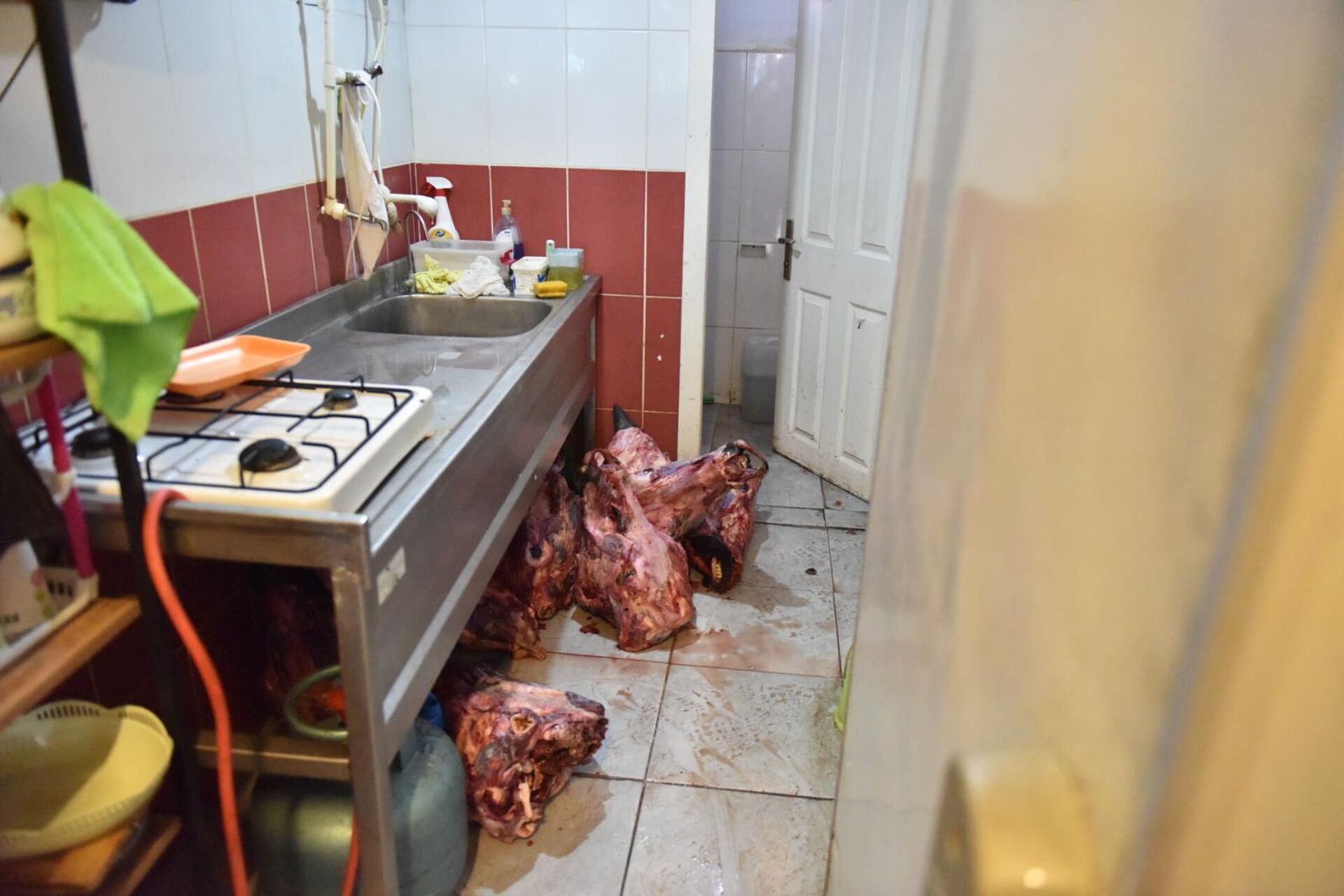 Bozuk et - Sputnik Türkiye, 1920, 14.11.2025