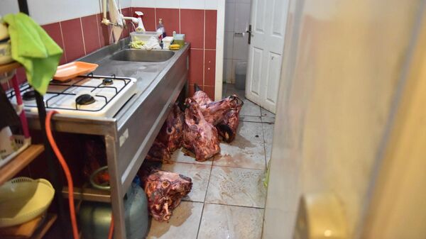 Bozuk et - Sputnik Türkiye