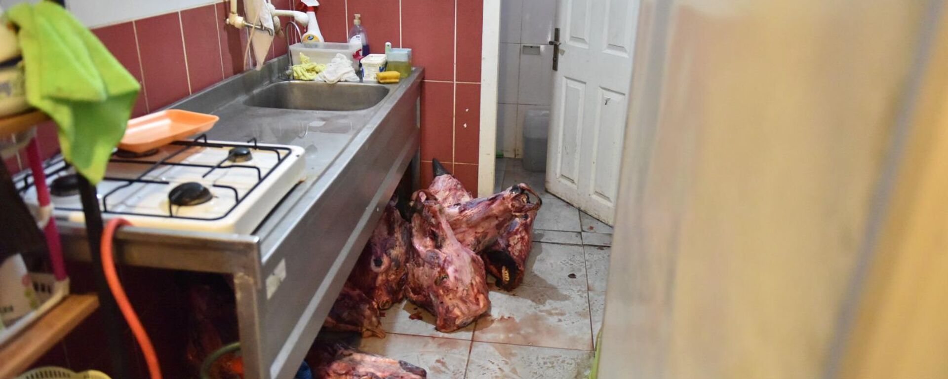 Bozuk et - Sputnik Türkiye, 1920, 19.08.2025