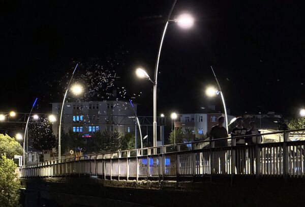 Ardahan'da, halk arasında 'Bir günlükler' ve 'Mayıs sinekleri' olarak bilinen sineklerin 'ölüm dansı' başladı. Ardahan'da, halk arasında 'Bir günlükler' ve 'Mayıs sinekleri' olarak bilinen sineklerin 'ölüm dansı' başladı. - Sputnik Türkiye