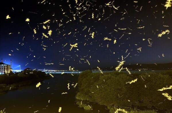 'Ölüm dansı'nın yaklaşık bir hafta sürmesi bekleniyor. 'Ölüm dansı'nın yaklaşık bir hafta sürmesi bekleniyor. - Sputnik Türkiye