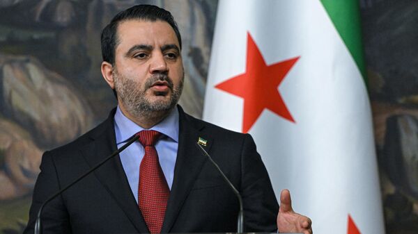 Suriye Dışişleri Bakanı Esad Hasan Şeybani - Sputnik Türkiye