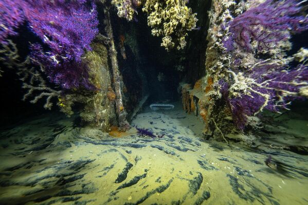 Çanakkale Boğazı, tarihi batıklarının yanı sıra su altı meraklılarının ilgisini çeken farklı dalış noktalarına da ev sahipliği yapıyor. Bunlardan biri de 19 Şubat 1968’de meydana gelen kazanın ardından denizin derinliklerine gömülen Kaptan Frangos gemisi.  - Sputnik Türkiye