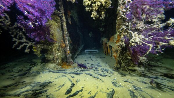 Çanakkale Boğazı derinliklerindeki Kaptan Frangos Batığı - Sputnik Türkiye