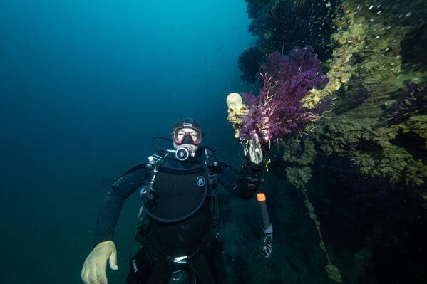 Bu nedenle batığın tamamını keşfetmek için dalgıçların birden fazla dalış yapması gerekiyor. Asfalt yüküyle birlikte denizin dibine gömülen gemi, çevresel etkileriyle de araştırmacıların ilgisini çekiyor. Tarihi bir batık olmasa da Kaptan Frangos, Çanakkale Boğazı’nın su altı mirasına farklı bir boyut kazandırarak bölgedeki dalış turizmine katkı sunuyor.  - Sputnik Türkiye