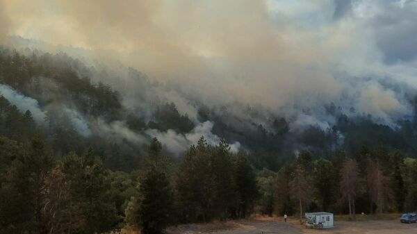 Bolu - Sputnik Türkiye