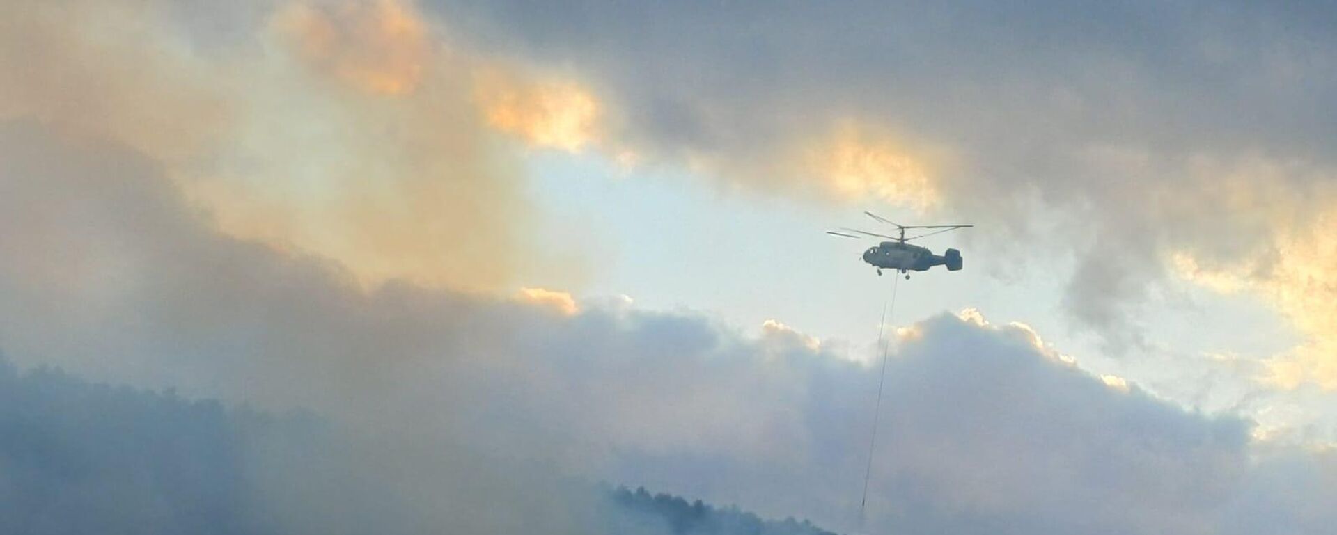 Bolu'nun Mengen ilçesinde ormanlık alanda yangın - Sputnik Türkiye, 1920, 20.08.2025
