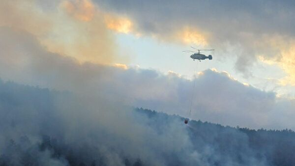 Bolu'nun Mengen ilçesinde ormanlık alanda yangın - Sputnik Türkiye