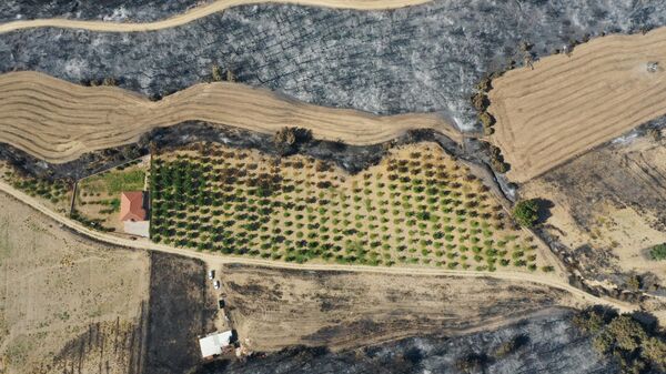 Çanakkale yangın - Sputnik Türkiye