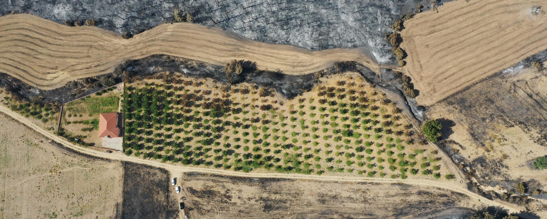 Çanakkale yangın - Sputnik Türkiye, 1920, 21.08.2025