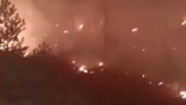 Muğla’nın Yatağan ilçesinde ormanlık alanda yangın çıktı - Sputnik Türkiye