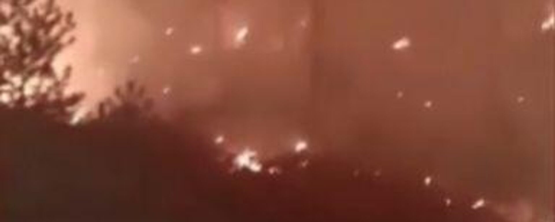 Muğla’nın Yatağan ilçesinde ormanlık alanda yangın çıktı - Sputnik Türkiye, 1920, 21.08.2025