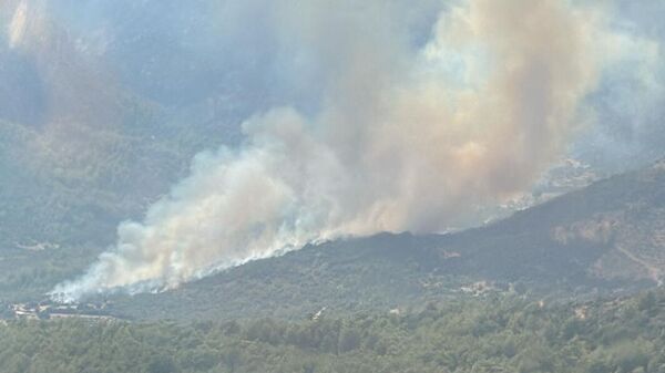 Muğla  - Sputnik Türkiye