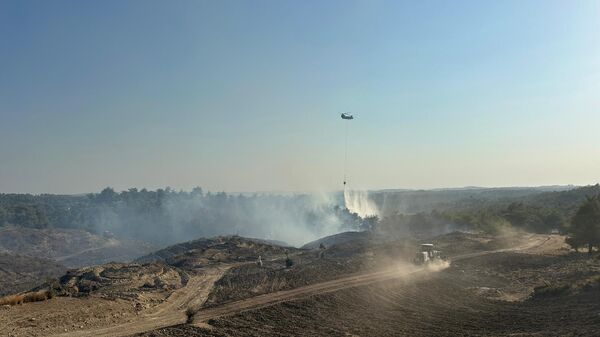 Adana yangını - Sputnik Türkiye