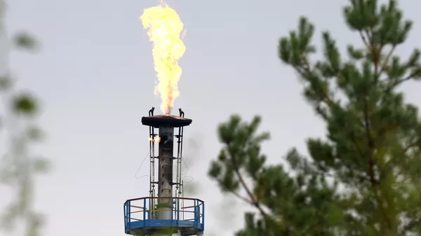 Çin, petrol fiyatlarının etkisini hafifletmek için akaryakıt fiyat artışını sınırladı
