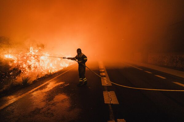 Galiçya’daki Ourense ile Kastilya ve Leon bölgesinde Leon ve Zamora kentleri, yangınlardan en fazla etkilenen bölgeler arasında bulunuyor. - Sputnik Türkiye